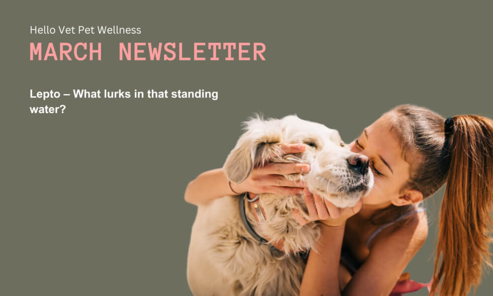 March 2023 Newsletter