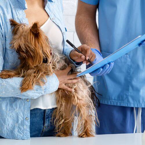 woman signing a certificate
