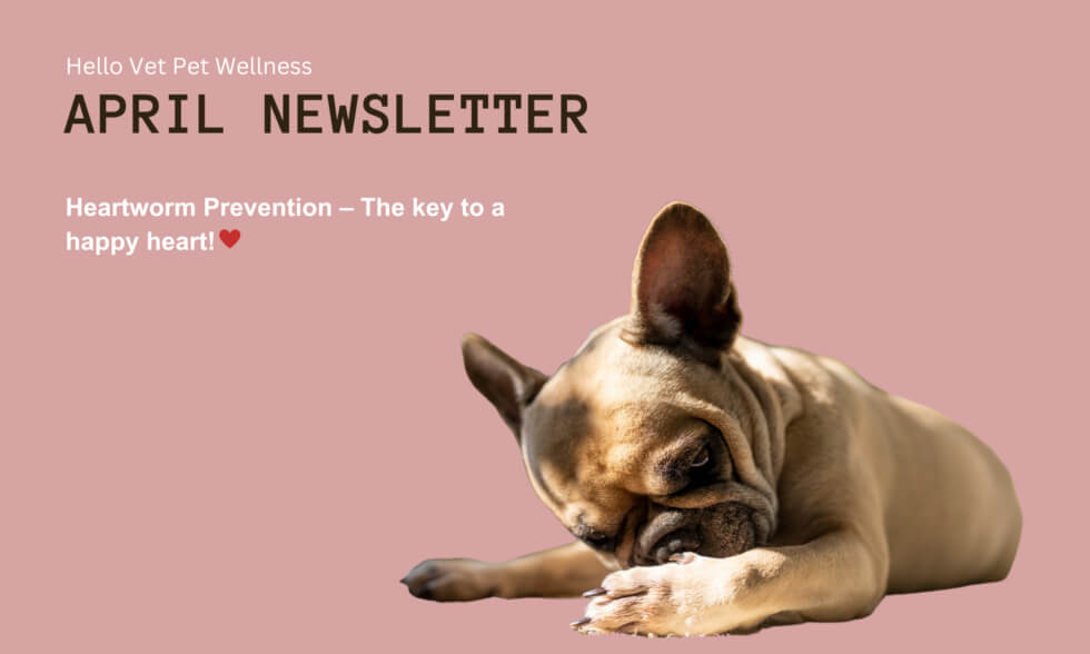 April news letter image