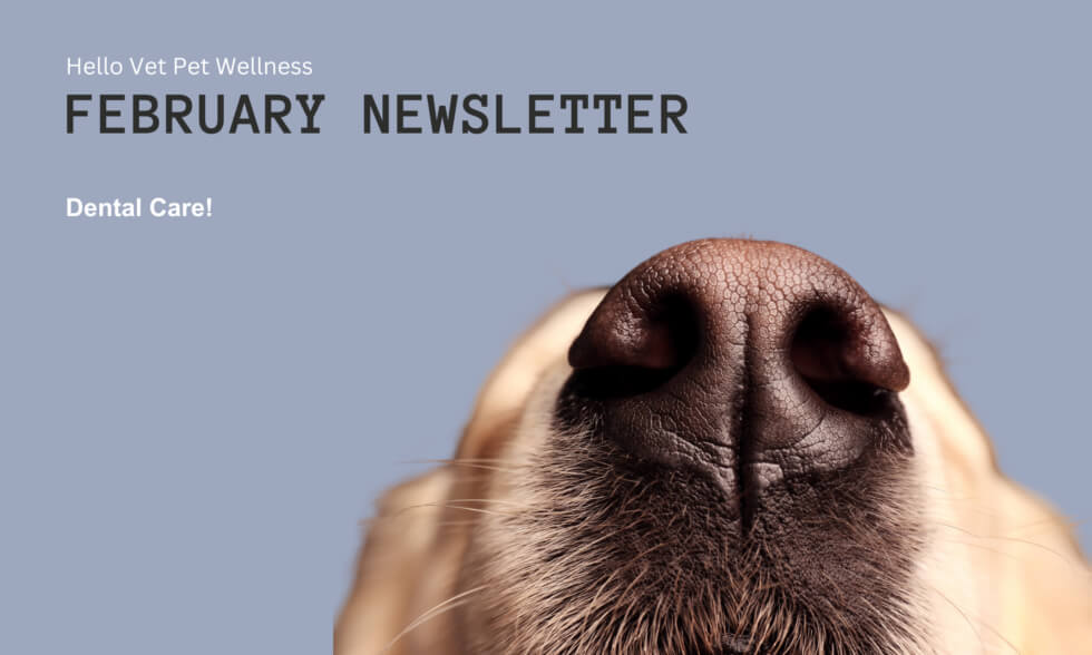 April news letter image