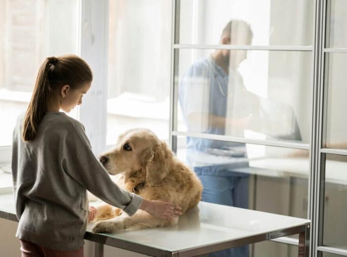 The Essential Guide to Keeping Your Pet Parasite-Free: Deworming and Flea Prevention